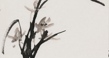少儿播音主持考级招生简章
