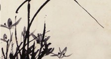 少儿模特考级招生简章