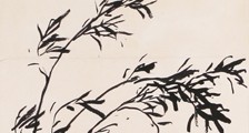 少儿影视表演考级招生简章