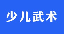 厉害了,一睹少儿武术考级风采(图文)